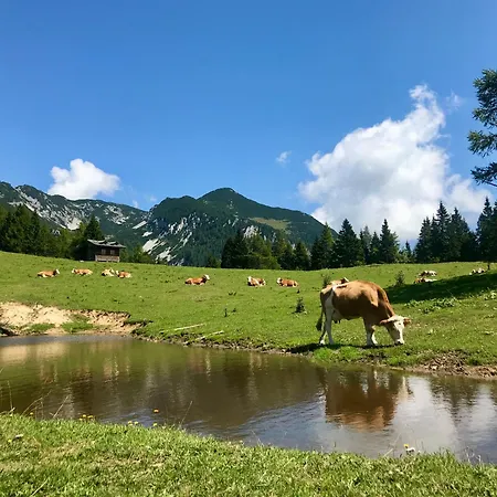 Apartma V Objemu Gora - Krvavec * Cerklje na Gorenjskem