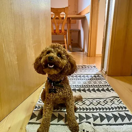 Apartma V Objemu Gora - Krvavec * 서클리예나고렌스켐