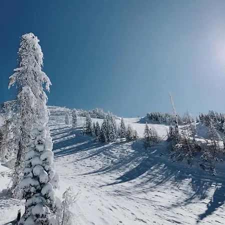 Apartma V Objemu Gora - Krvavec Lejlighed Cerklje na Gorenjskem