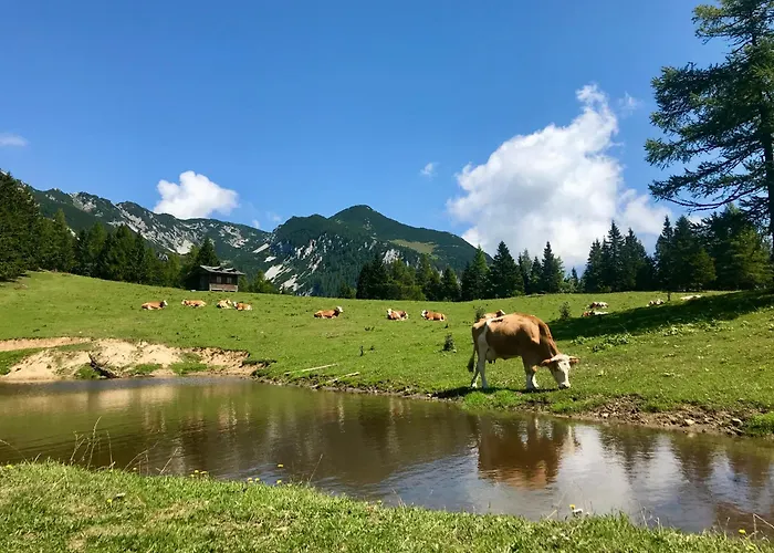 Apartma V Objemu Gora - Krvavec * Cerklje na Gorenjskem