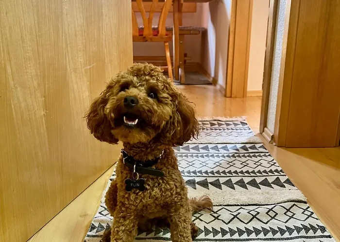 Apartma V Objemu Gora - Krvavec * Cerklje na Gorenjskem